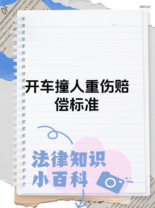 被车撞了轻伤赔偿标准与流程详解