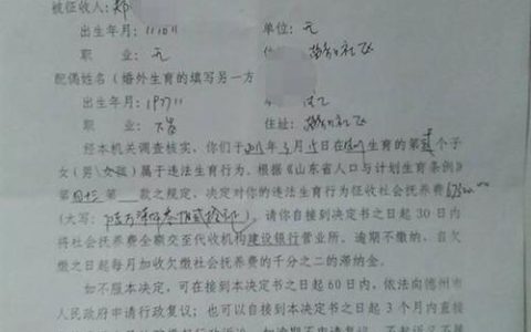 社会抚养费退还政策解析与申请指南