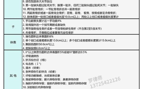 人身伤情鉴定标准详解与实务指南