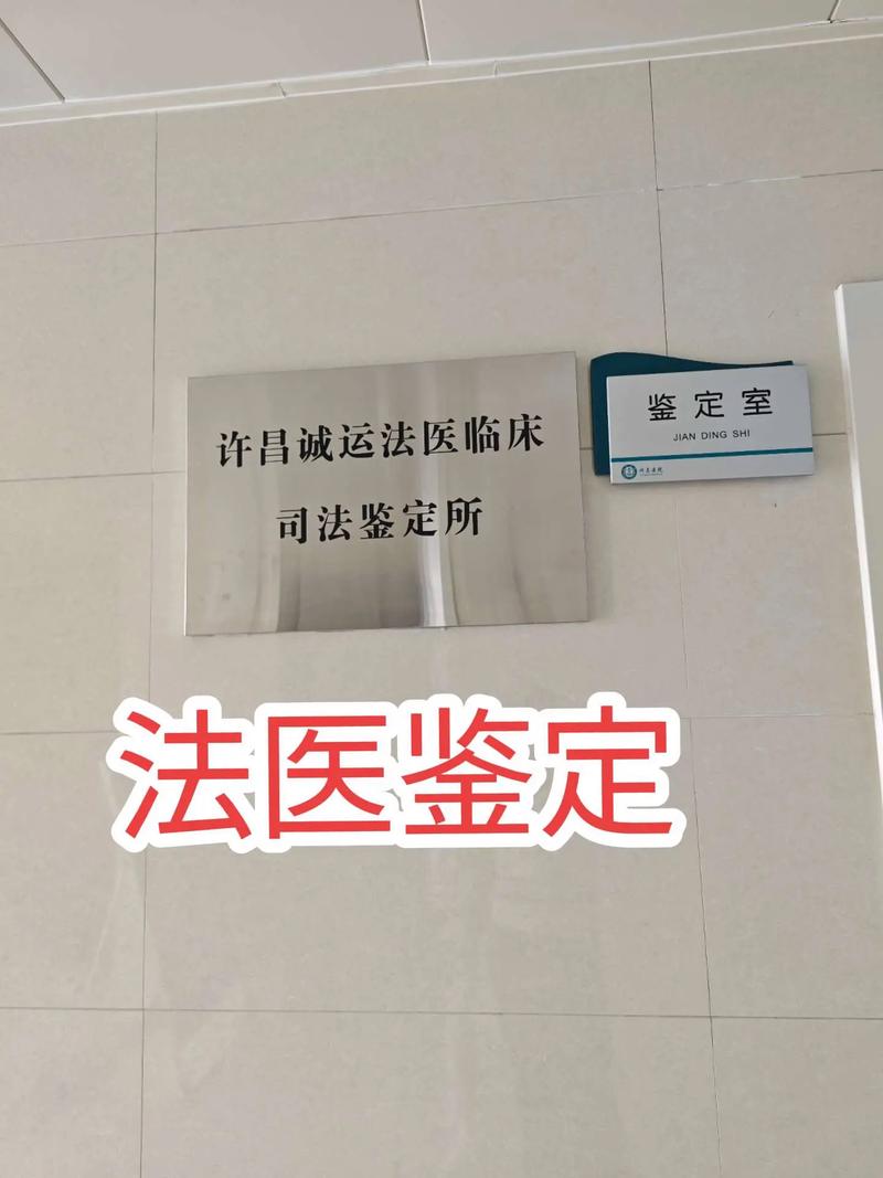 免费法医鉴定咨询是馅饼还是陷阱？权威解读