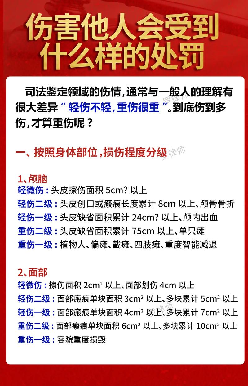 人体损伤一级二级哪个更重？资深律师深度解读鉴定标准