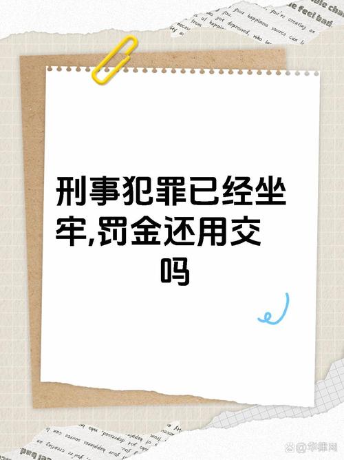 刑事罚金交不起并非绝境，资深律师为你解析应对之道