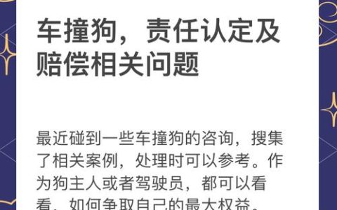 车祸对方全责赔偿指南