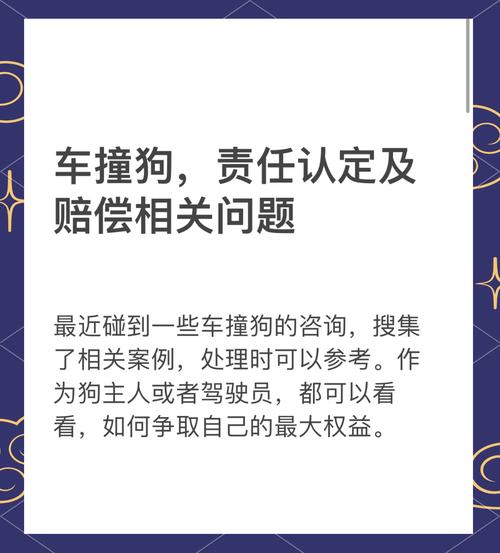 车祸对方全责赔偿指南