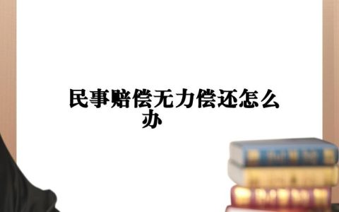 债务无力偿还的法律应对与解决方案