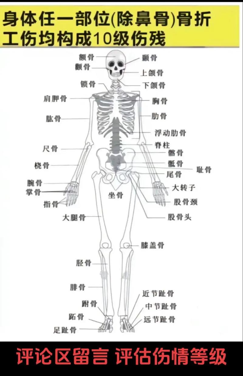 工伤认定咨询电话查找及申请流程详解