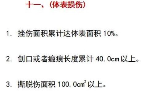 轻伤鉴定标准详解与实务指南