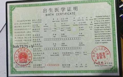 出生证明信息错误？权威解读更正流程与法律责任