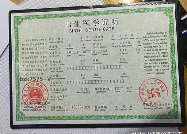 出生证明信息错误？权威解读更正流程与法律责任