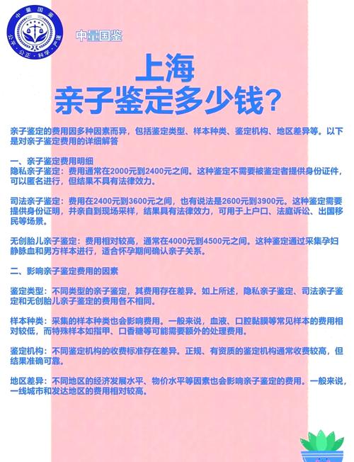 亲子鉴定费用详解：各类型价格及选择指南