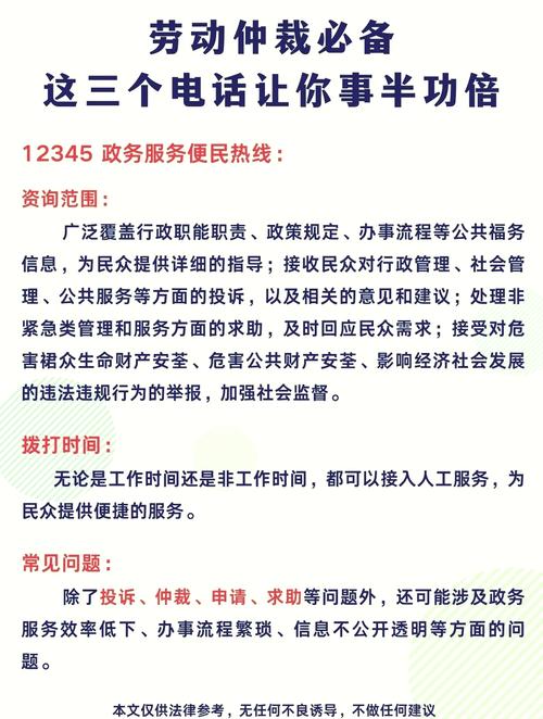 12333劳动仲裁实用指南：效用与局限全解析