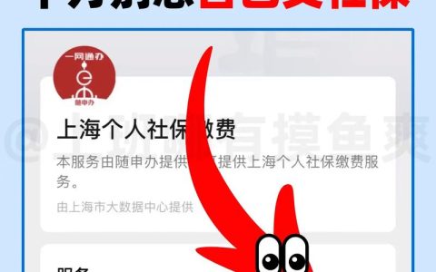 离职后社保中断怎么办？专家教你无忧续保