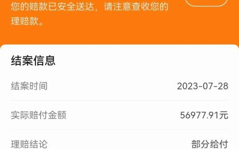 重大风险下的家庭屏障：从高额理赔案例看保险价值