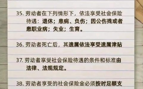读懂劳动法：保障权益与职场避坑实用指南