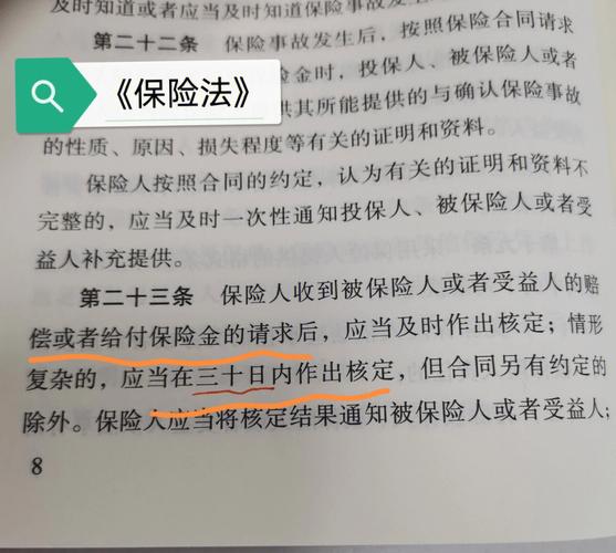 保险理赔迷雾重重？资深专家为您揭秘维权关键