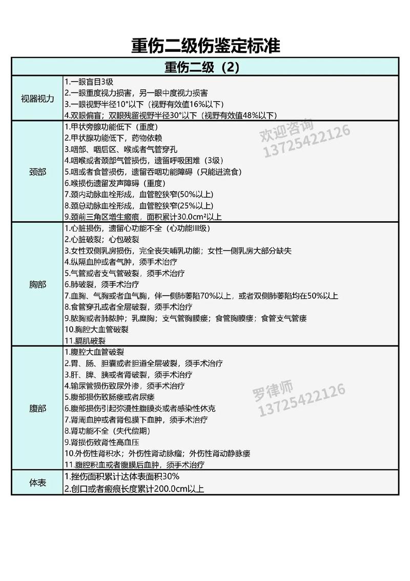 伤残等级认定实务指南