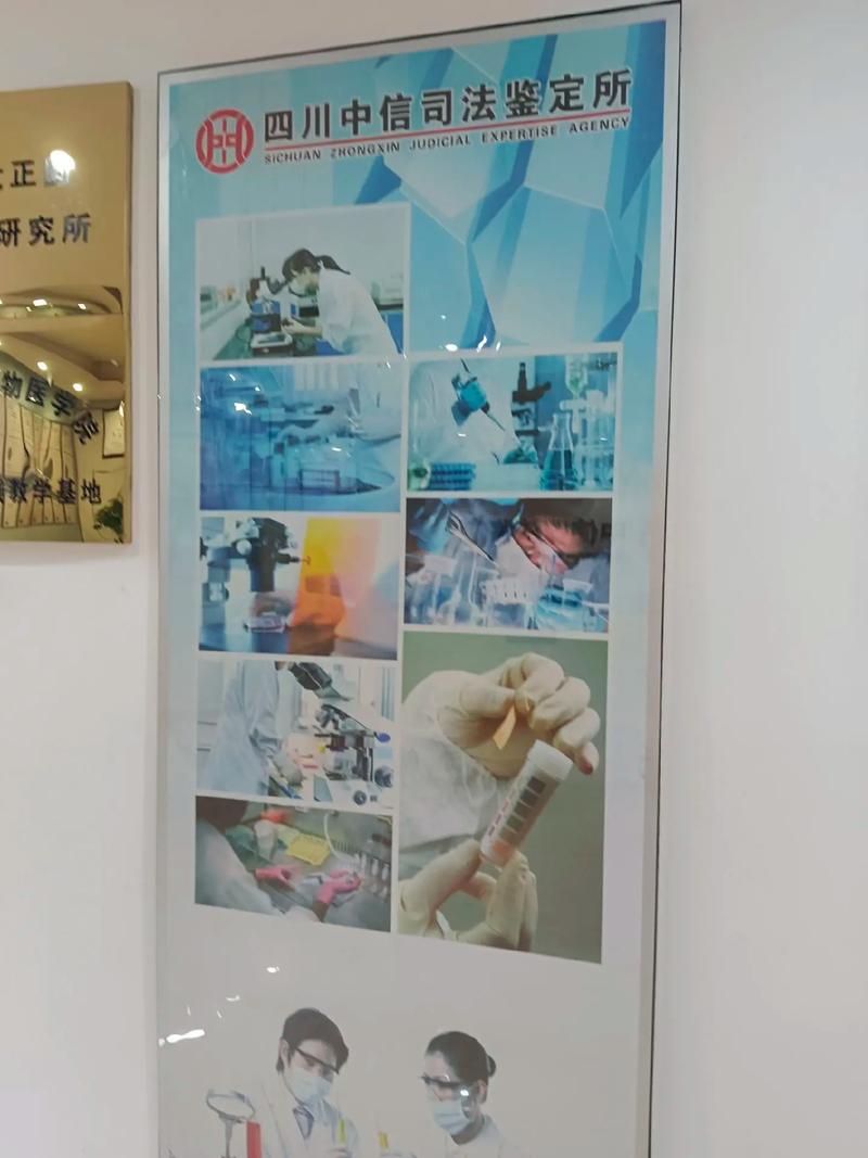 司法鉴定：揭示证据背后的科学与法律逻辑