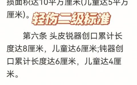轻伤认定标准详解与实务指南