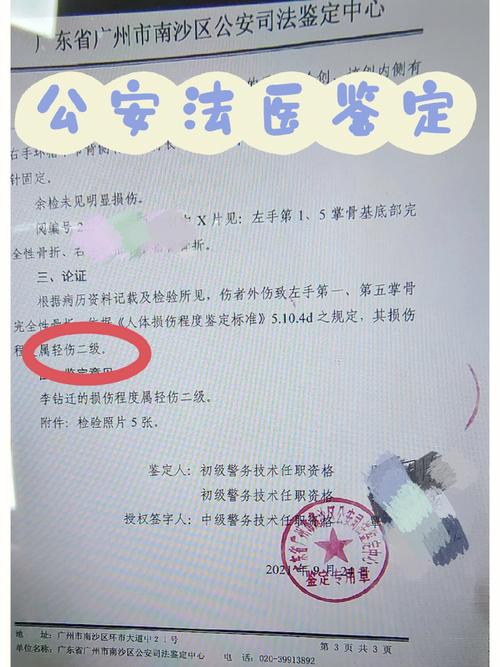 工伤维权全攻略：找对部门，一步步拿回应有赔偿