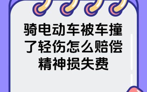 交通事故精神损失费索赔实务指南