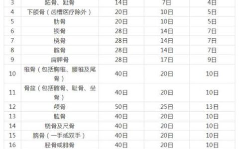车祸骨折赔多少？律师详解赔偿项目与关键点