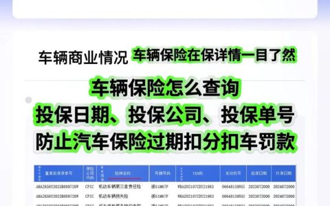 快速查清名下所有保险：社保车险商业险全攻略