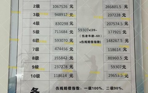 车祸九级伤残赔偿揭秘：20万并非法定标准