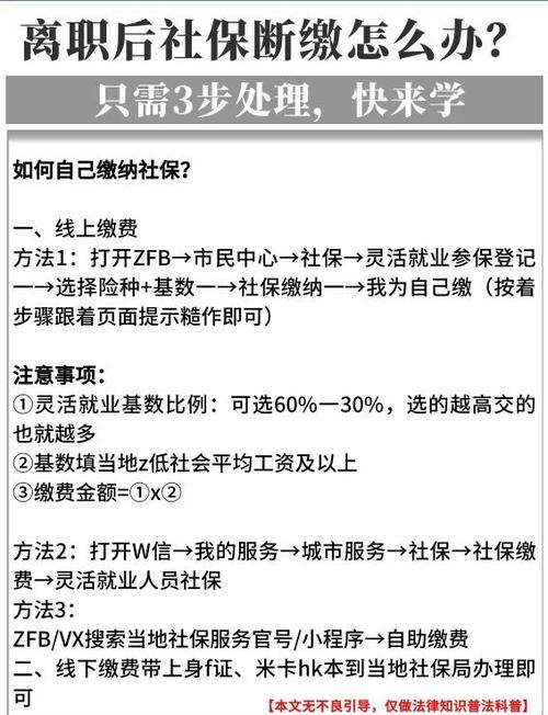 辞职后社保怎么办？资深律师教你避坑指南