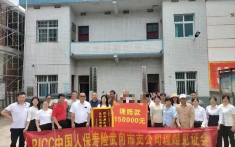 保险理赔：不止合同，更有温暖与效率