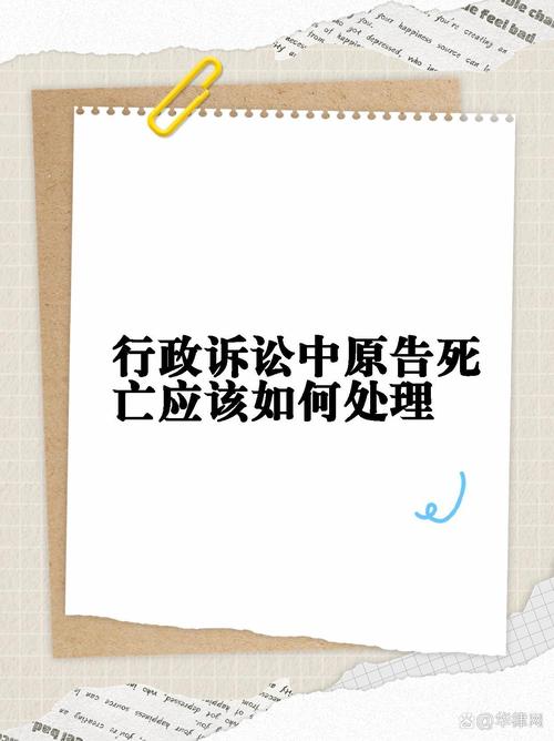 民告官败诉：你需要了解的几大影响与应对