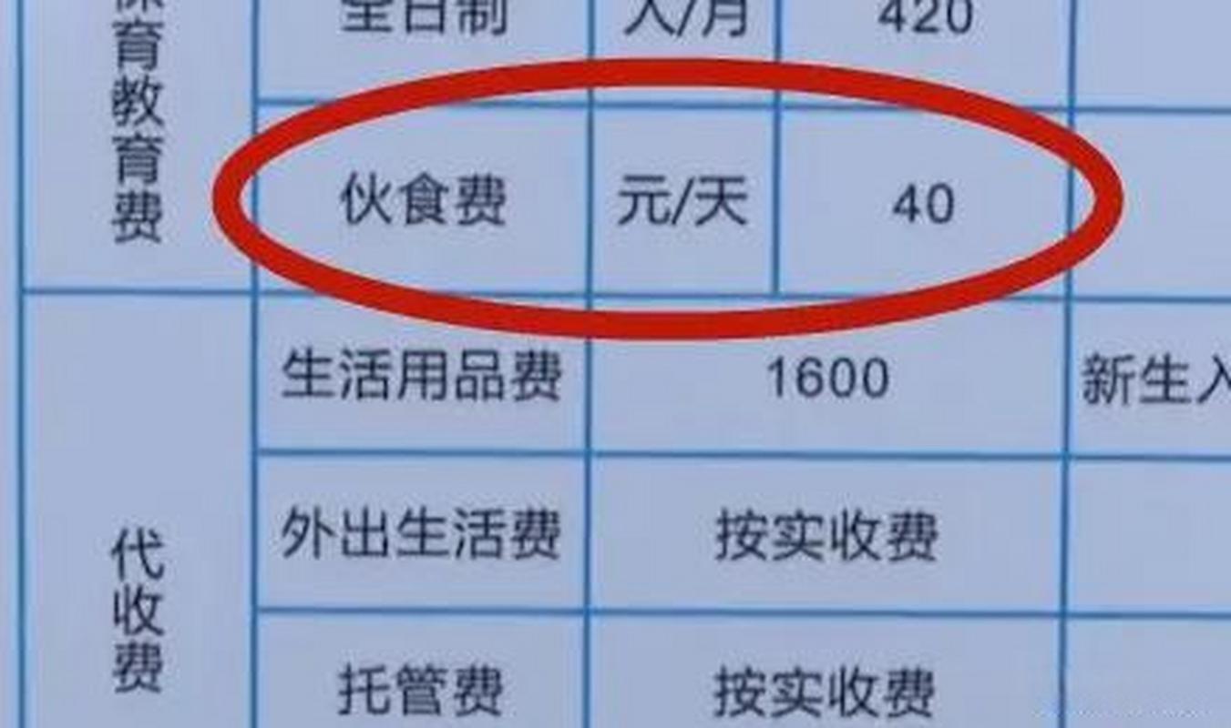 人身损害营养费：一天标准与赔偿依据深度解析