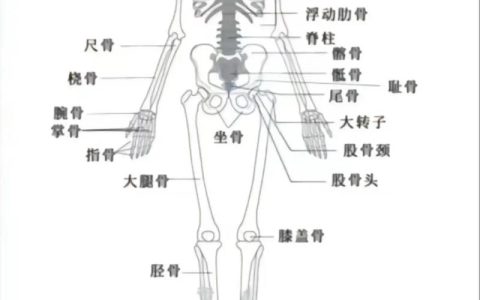 工伤后如何与老板谈赔偿？维权策略与步骤详解
