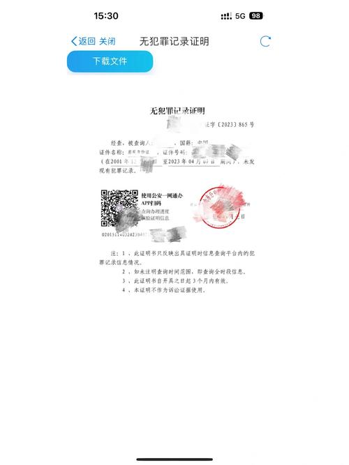 电子无犯罪证明在线申请：手把手教你搞定流程与平台