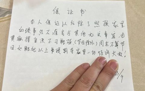 法律视角下的保证书：承诺背后的责任与风险解析