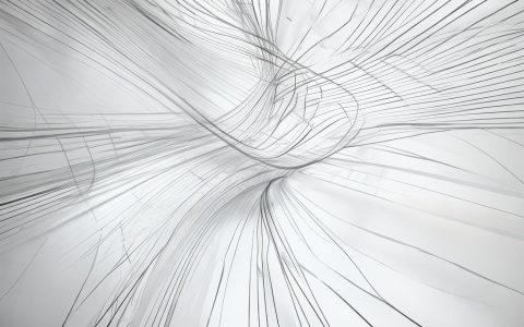 执照没写有效期？官方查询方法与风险一点通