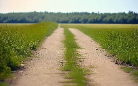 2025年办理离婚手续：协议与诉讼指南