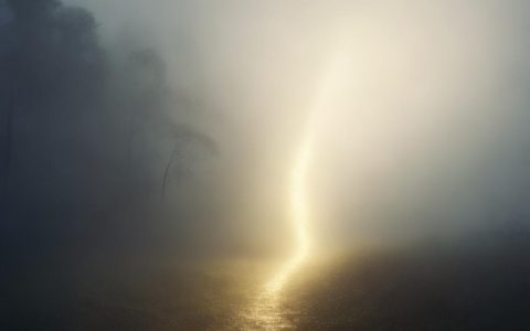 发现被骗心急如焚？律师详解报案维权关键步骤
