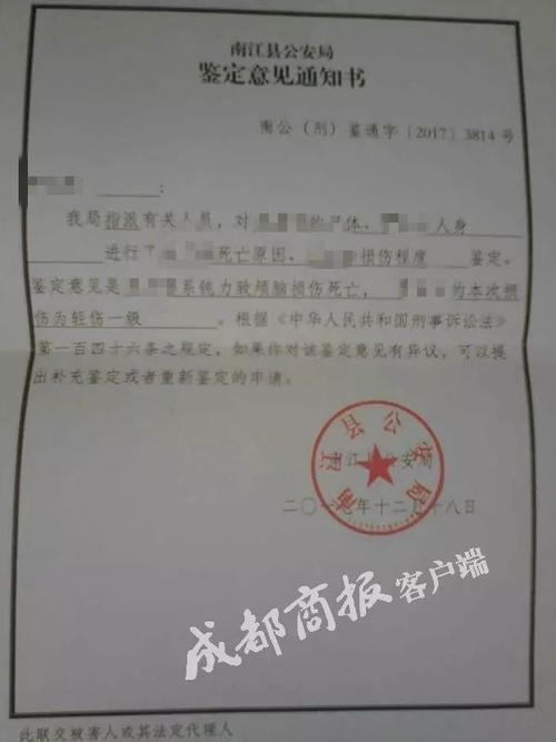 人身伤害程度鉴定：重伤轻伤与轻微伤的法律界限
