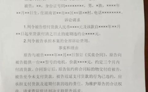 男方提起离婚诉讼：文书准备与法律要点全解析