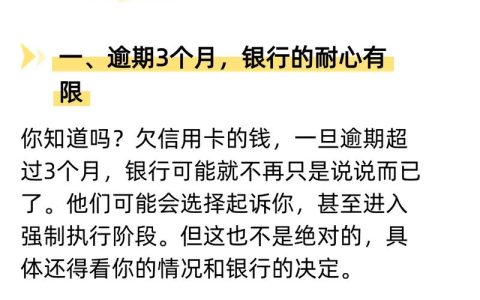 银行信用贷款还不上了？后果、风险与应对策略全解析