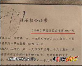 遗产继承不再迷茫：民法典规定与避坑指南