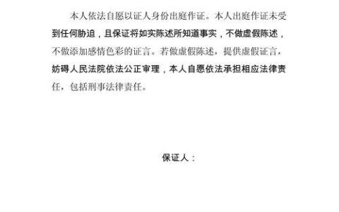保证书有效写法：从要素到风险防范的全面解析