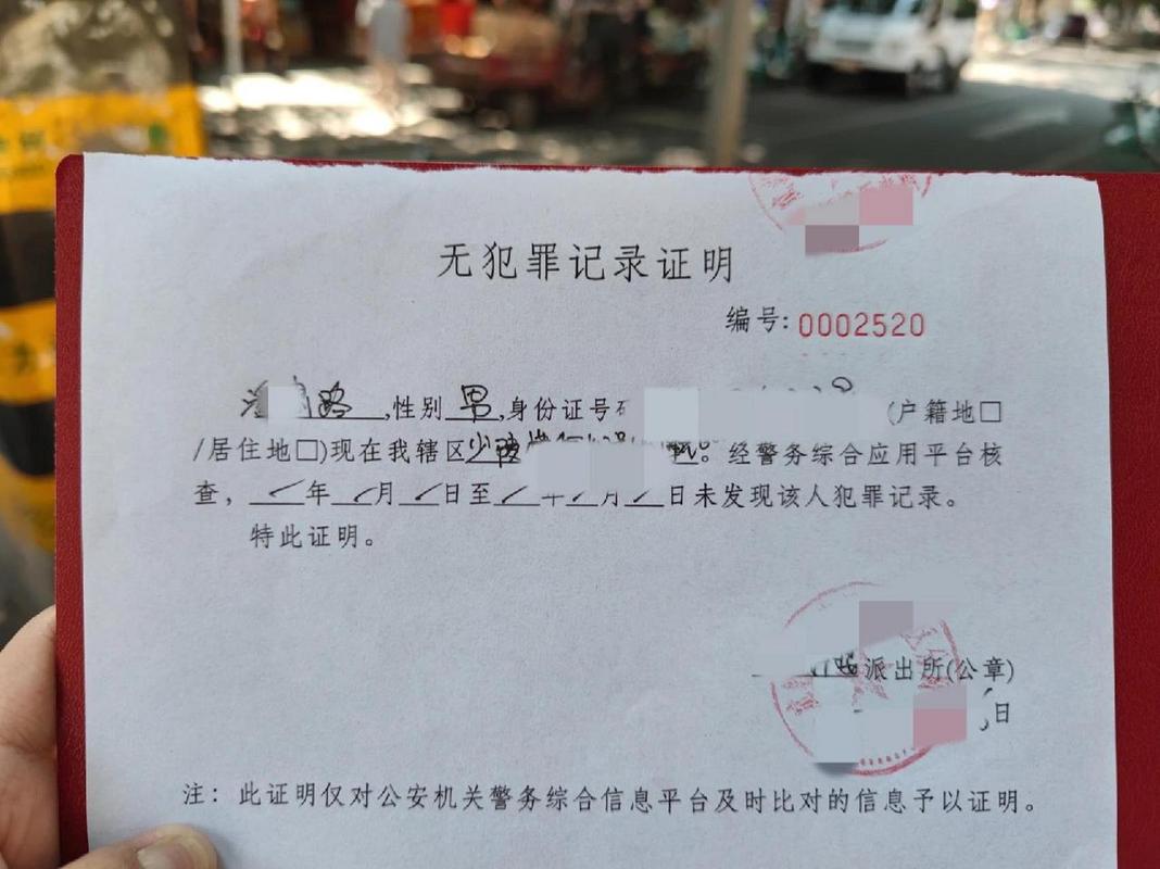 权威解读：云南无犯罪记录证明申办全流程指南