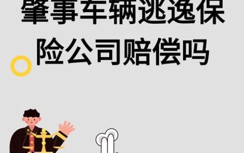 肇事逃逸莫侥幸：交强险仍需赔，商业险或免责
