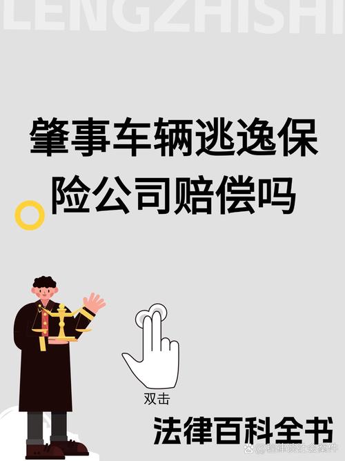 肇事逃逸莫侥幸：交强险仍需赔，商业险或免责