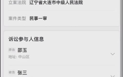 告别排队烦恼：手把手教你完成法院在线立案