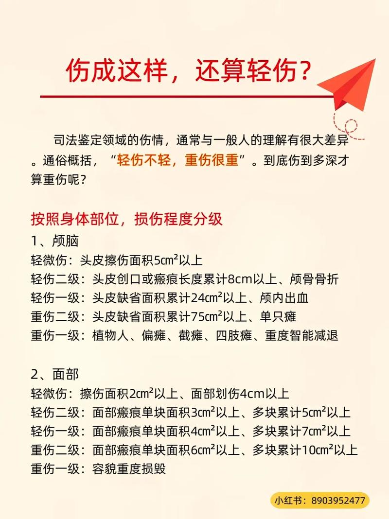 打架受伤了？一文读懂轻微伤的法律界定与后果