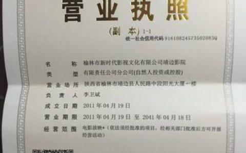名下想多办执照？个体户与公司类型规则全解析