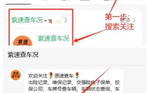 非本人车辆违章查询方法及法律责任解析