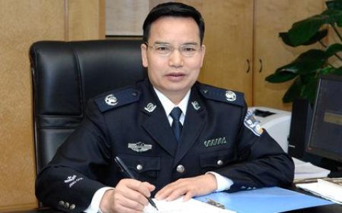 掌上警务新篇章：公安一网通办深度解析与应用指南